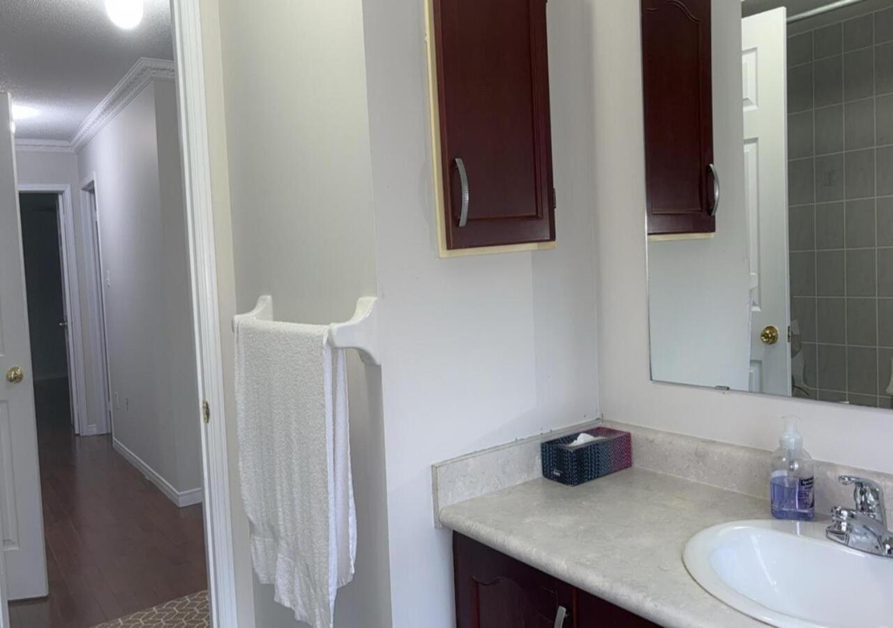 Bright Queen Room Close To Sheridan College And Airport برامبتون الغرفة الصورة