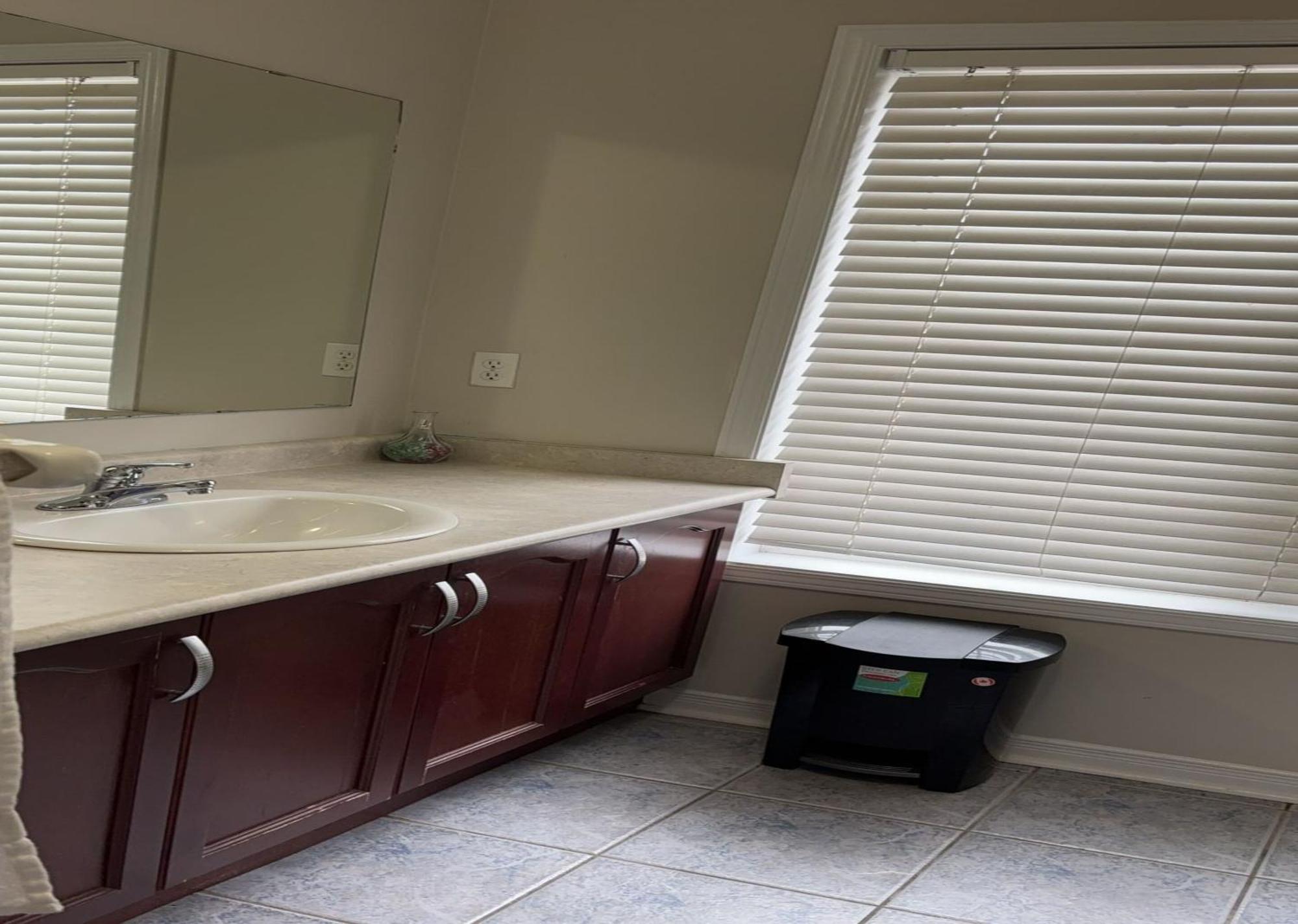 Bright Queen Room Close To Sheridan College And Airport برامبتون المظهر الخارجي الصورة